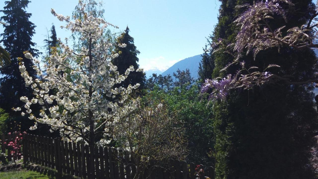 Laugen Rainegg Scena Exterior foto